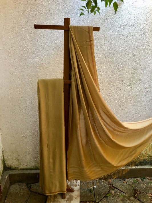 Saree - Cream & Brown shades