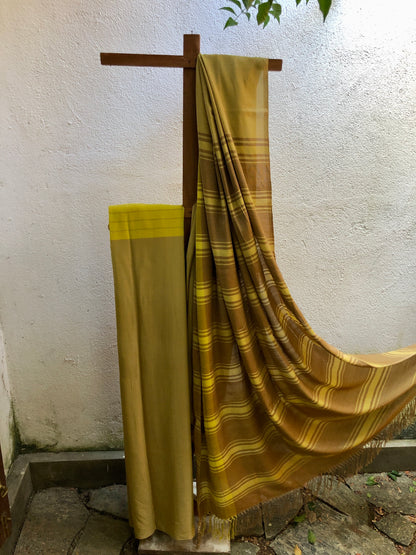 Saree - Brown & Yellow shades